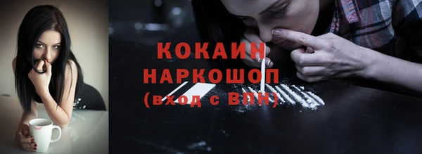 прущие грибы Карталы