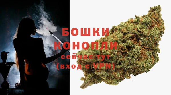 ГАЛЛЮЦИНОГЕННЫЕ ГРИБЫ Киренск