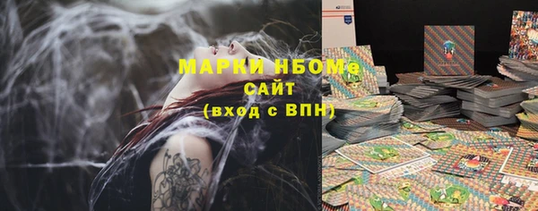 прущие грибы Карталы