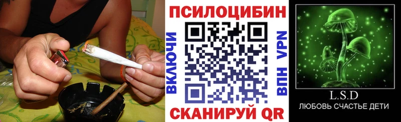Галлюциногенные грибы Psilocybe Купить Грозный